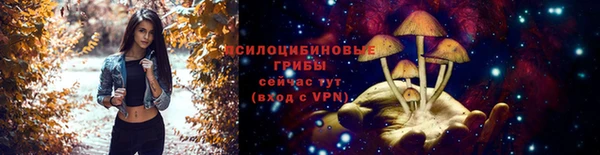 бошки Аркадак