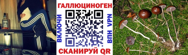 Псилоцибиновые грибы ЛСД наркота Ишим
